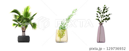 decorative flower in a pot isolate on a transparent background, 3D illustration, cg render 129736932