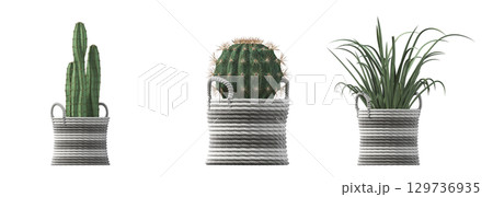 decorative flower in a pot isolate on a transparent background, 3D illustration, cg render 129736935