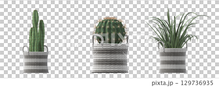 decorative flower in a pot isolate on a transparent background, 3D illustration, cg render 129736935