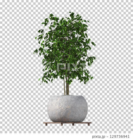 decorative flower in a pot isolate on a transparent background, 3D illustration, cg render decorative flower in a pot isolate on a transparent background, 3D illustration, cg render 129736941