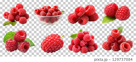 Raspberry raspberries, many angles and view side top front group pile heap isolated on transparent background cutout, PNG file. Mockup template for artwork graphic design 129737084