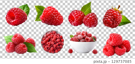 Raspberry raspberries, many angles and view side top front group pile heap isolated on transparent background cutout, PNG file. Mockup template for artwork graphic design 129737085