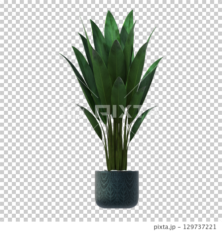 decorative flower in a pot isolate on a transparent background, 3D illustration, cg render decorative flower in a pot isolate on a transparent background, 3D illustration, cg render 129737221