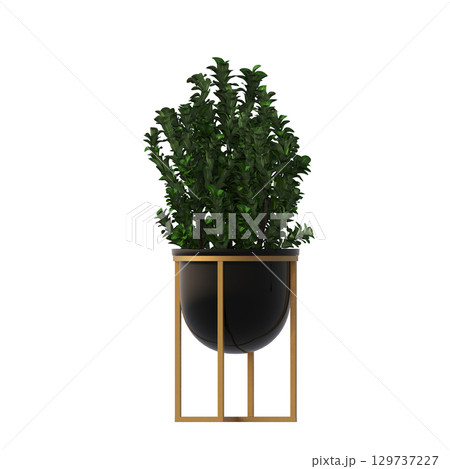 decorative flower in a pot isolate on a transparent background, 3D illustration, cg render 129737227