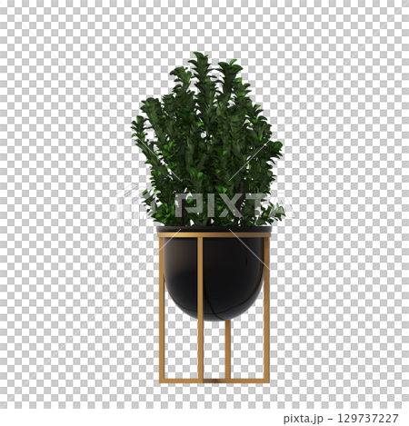 decorative flower in a pot isolate on a transparent background, 3D illustration, cg render 129737227