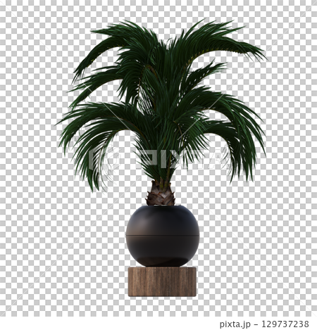 decorative flower in a pot isolate on a transparent background, 3D illustration, cg render decorative flower in a pot isolate on a transparent background, 3D illustration, cg render 129737238