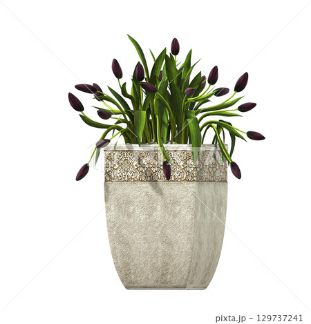 decorative flower in a pot isolate on a transparent background, 3D illustration, cg render 129737241