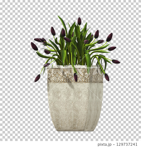 decorative flower in a pot isolate on a transparent background, 3D illustration, cg render 129737241
