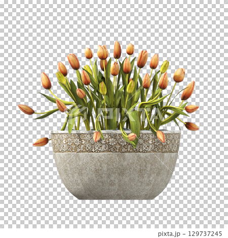 decorative flower in a pot isolate on a transparent background, 3D illustration, cg render decorative flower in a pot isolate on a transparent background, 3D illustration, cg render 129737245