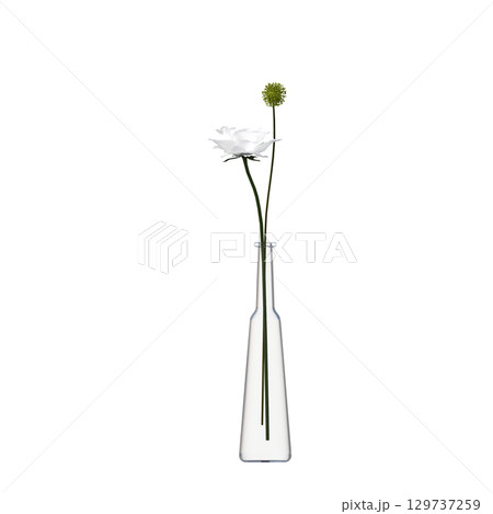 decorative flower in a pot isolate on a transparent background, 3D illustration, cg render 129737259