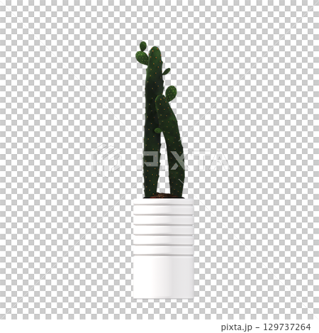 decorative flower in a pot isolate on a transparent background, 3D illustration, cg render decorative flower in a pot isolate on a transparent background, 3D illustration, cg render 129737264