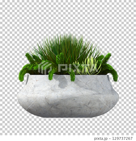 decorative flower in a pot isolate on a transparent background, 3D illustration, cg render decorative flower in a pot isolate on a transparent background, 3D illustration, cg render 129737267