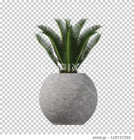 decorative flower in a pot isolate on a transparent background, 3D illustration, cg render 129737268