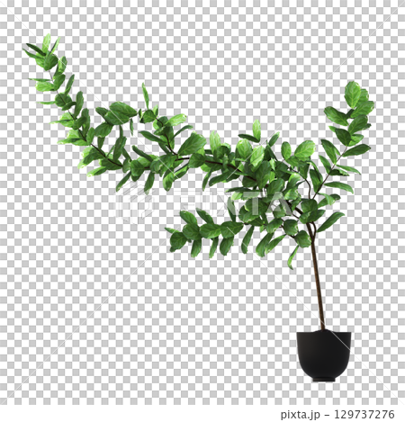 decorative flower in a pot isolate on a transparent background, 3D illustration, cg render decorative flower in a pot isolate on a transparent background, 3D illustration, cg render 129737276