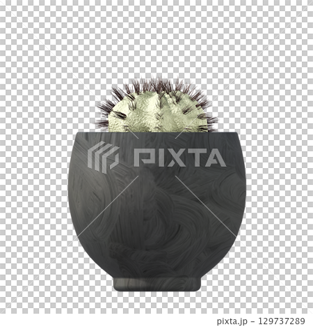decorative flower in a pot isolate on a transparent background, 3D illustration, cg render 129737289