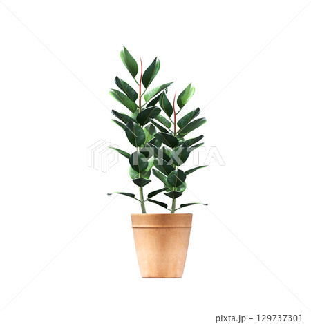 decorative flower in a pot isolate on a transparent background, 3D illustration, cg render decorative flower in a pot isolate on a transparent background, 3D illustration, cg render 129737301