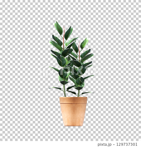 decorative flower in a pot isolate on a transparent background, 3D illustration, cg render decorative flower in a pot isolate on a transparent background, 3D illustration, cg render 129737301