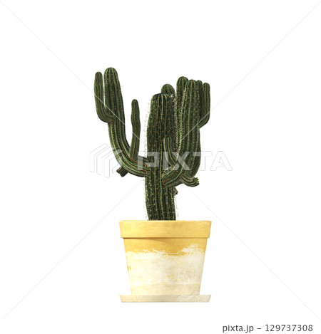 decorative flower in a pot isolate on a transparent background, 3D illustration, cg render 129737308