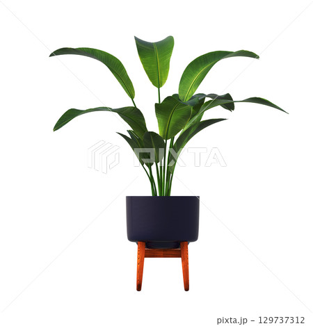 decorative flower in a pot isolate on a transparent background, 3D illustration, cg render 129737312