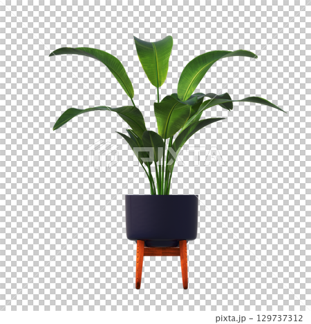 decorative flower in a pot isolate on a transparent background, 3D illustration, cg render 129737312