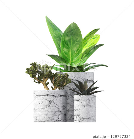decorative flower in a pot isolate on a transparent background, 3D illustration, cg render decorative flower in a pot isolate on a transparent background, 3D illustration, cg render 129737324