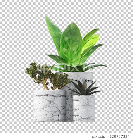 decorative flower in a pot isolate on a transparent background, 3D illustration, cg render 129737324