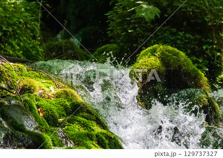 苔むした岩に湧き出す伏流水 苔むした岩に湧き出す伏流水 129737327