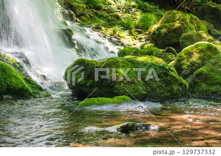 苔むした岩に降り注ぐ伏流水 129737332