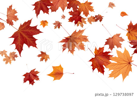 Falling autumn leaves, seasonal transition concept with transparent png overlay 129738097