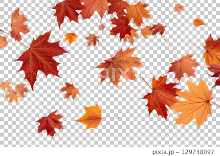 Falling autumn leaves, seasonal transition concept with transparent png overlay 129738097