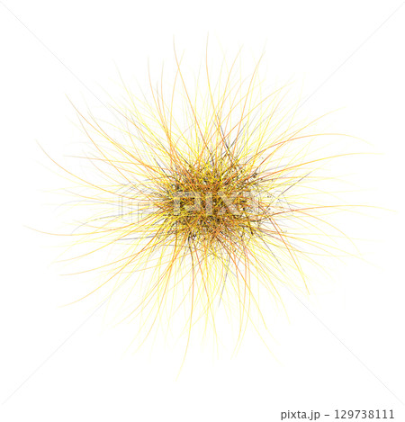 wild field grass, top view, isolated on a transparent background, 3D illustration, cg render 129738111