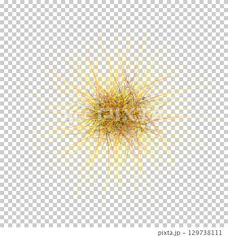 wild field grass, top view, isolated on a transparent background, 3D illustration, cg render 129738111