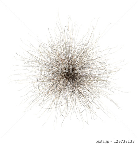 wild field grass, top view, isolated on a transparent background, 3D illustration, cg render wild field grass, top view, isolated on a transparent background, 3D illustration, cg render 129738135