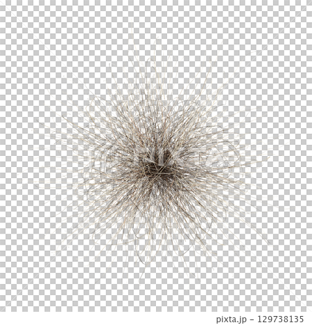 wild field grass, top view, isolated on a transparent background, 3D illustration, cg render wild field grass, top view, isolated on a transparent background, 3D illustration, cg render 129738135