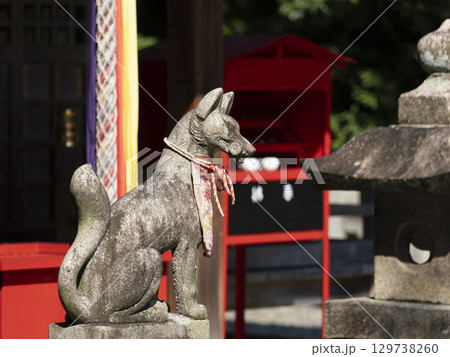 稲荷神社の狛狐と鈴緒 稲荷神社の狛狐と鈴緒 129738260