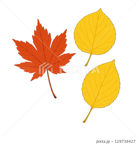 もみじと黄色い落ち葉セット　秋の紅葉イラスト　透過切り抜き素材 129738427