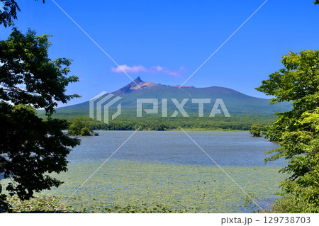 蓮と大沼と駒ヶ岳・大沼湖畔周遊道路から（北海道・七飯町） 129738703