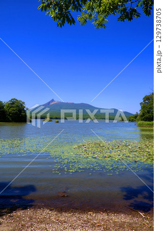 蓮と大沼と駒ヶ岳・大沼湖畔周遊道路から（北海道・七飯町） 129738705