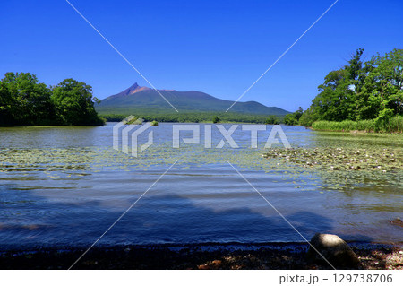 蓮と大沼と駒ヶ岳・大沼湖畔周遊道路から（北海道・七飯町） 129738706
