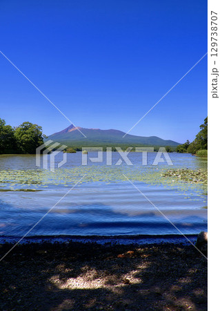 蓮と大沼と駒ヶ岳・大沼湖畔周遊道路から（北海道・七飯町） 129738707