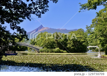 蓮と大沼と駒ヶ岳・大沼湖畔周遊道路から（北海道・七飯町） 129738709