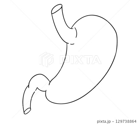 胃の線画イラスト 胃の線画イラスト 129738864