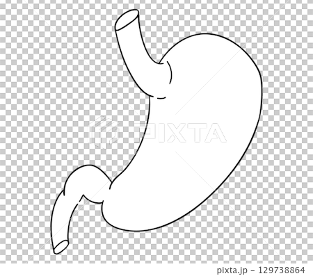 胃の線画イラスト 胃の線画イラスト 129738864