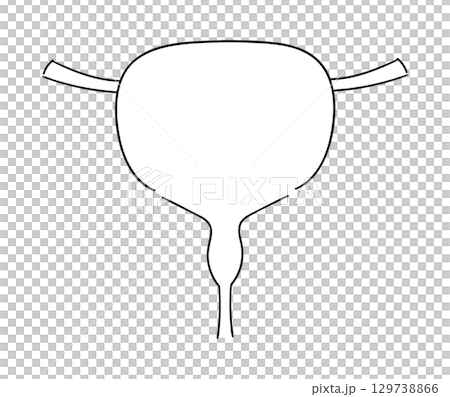 膀胱の線画イラスト 膀胱の線画イラスト 129738866