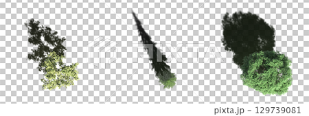 tree with a shadow under it, top view, isolate on a transparent background, 3d illustration 129739081