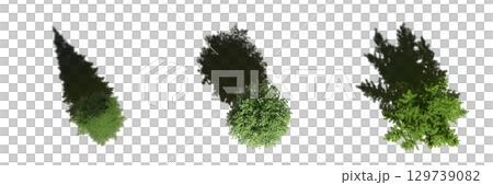 tree with a shadow under it, top view, isolate on a transparent background, 3d illustration 129739082