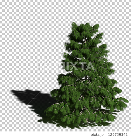 large tree with a shadow under it, isolated on a transparent background, 3D illustration, cg render 129739341