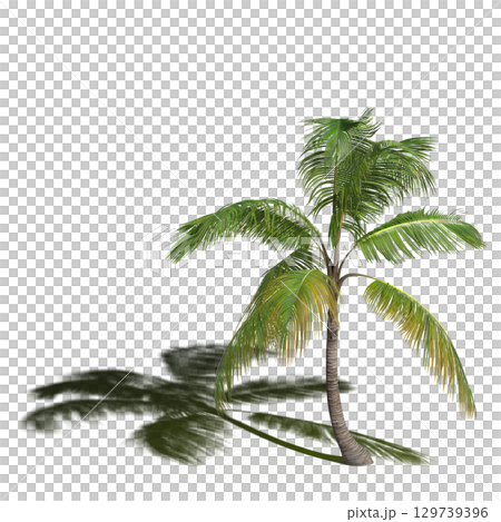large tree with a shadow under it, isolated on a transparent background, 3D illustration, cg render large tree with a shadow under it, isolated on a transparent background, 3D illustration, cg render 129739396