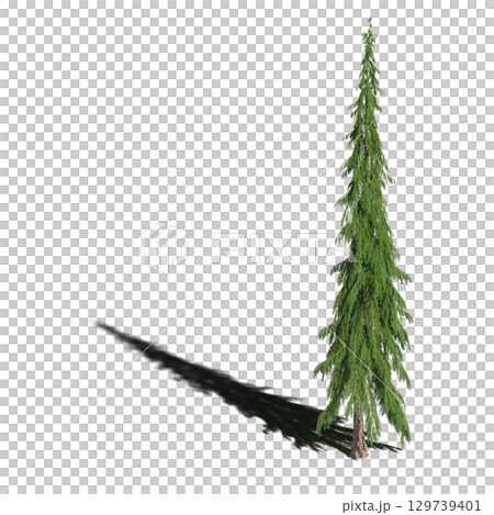 large tree with a shadow under it, isolated on a transparent background, 3D illustration, cg render large tree with a shadow under it, isolated on a transparent background, 3D illustration, cg render 129739401