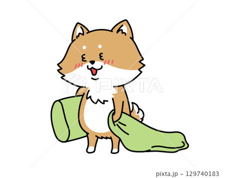眠たい柴犬さん 129740183